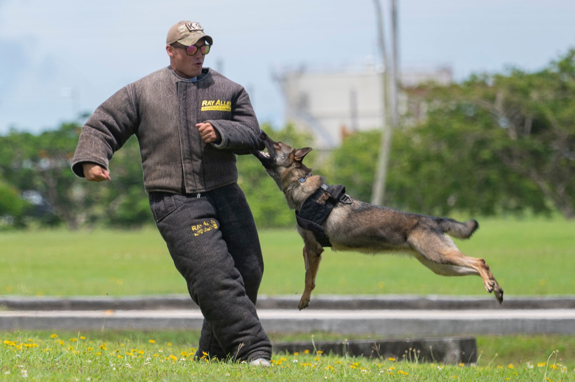 A dog bites a man