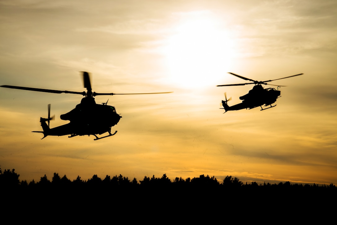 Two military helicopters fly alongside one another silhouetted against a golden sky.