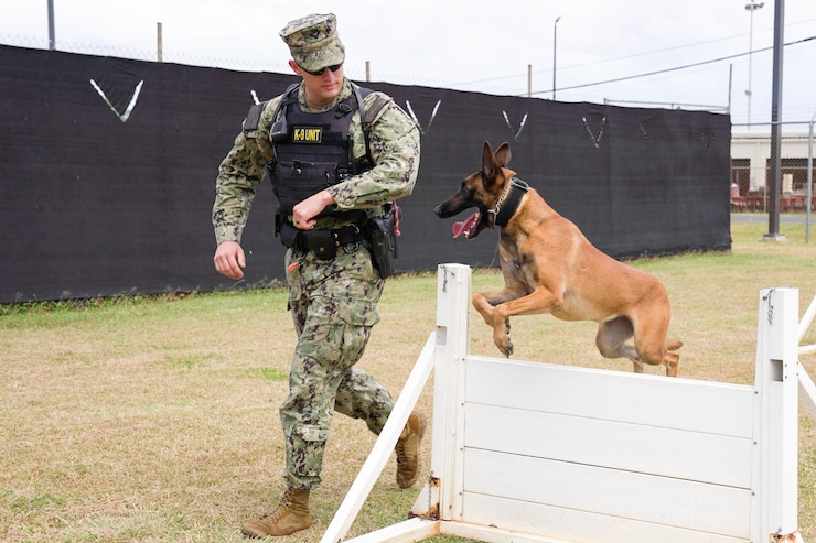 Picture of a security forces individual giving a demonstration with a military working dog.