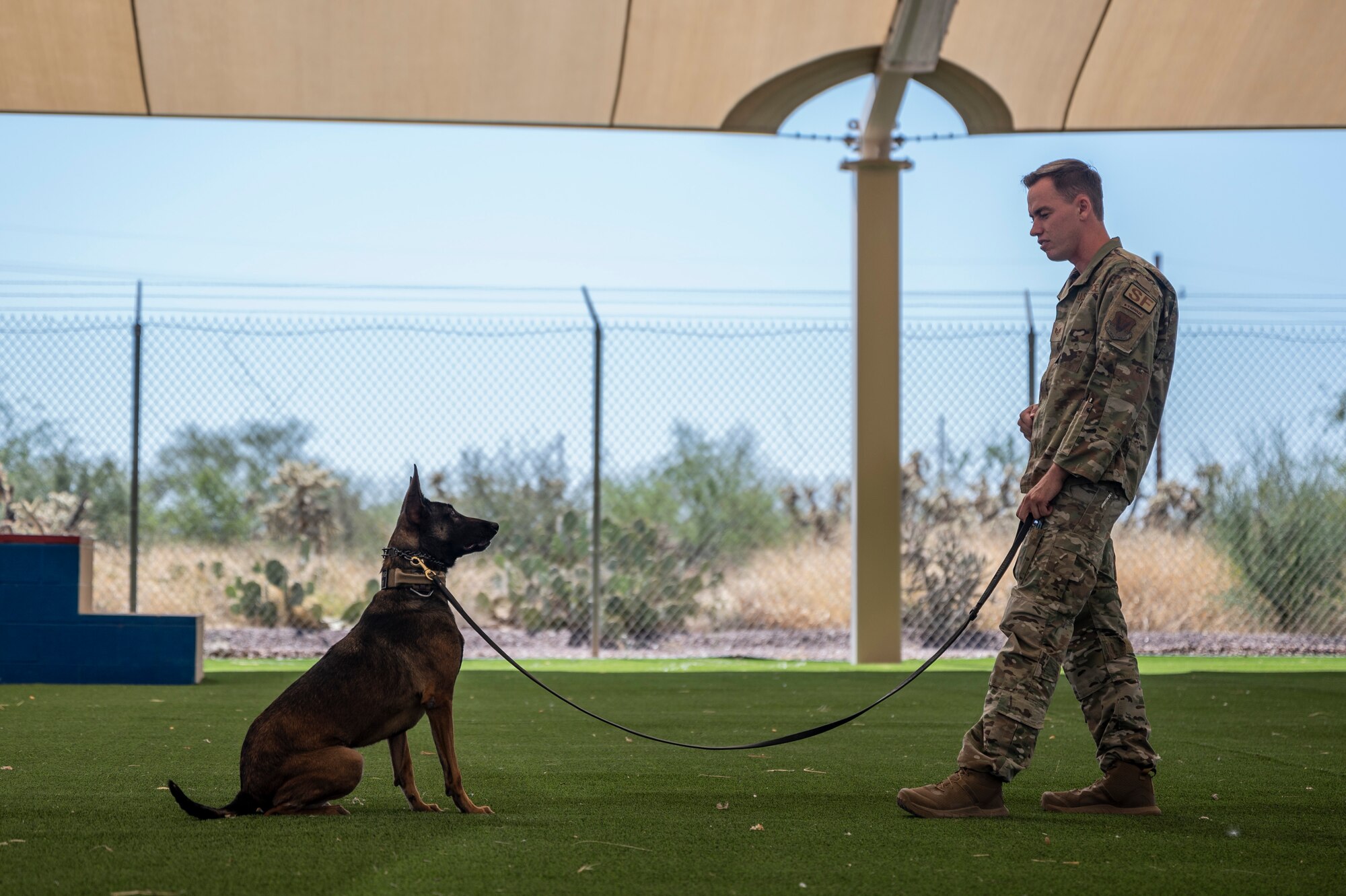 A photo of a K9 handler training an MWD