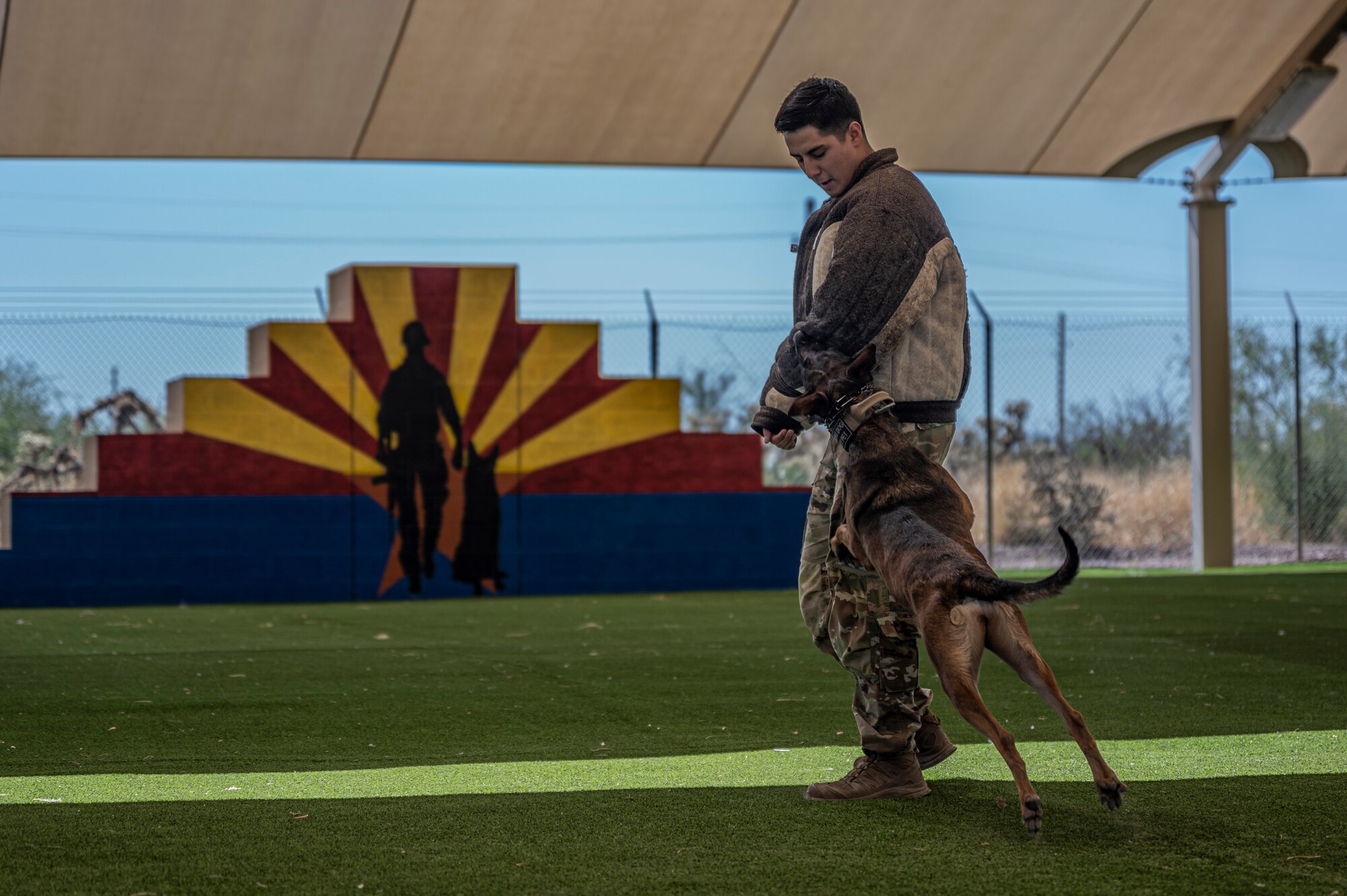 a photo of an MWD biting a bite sleeve