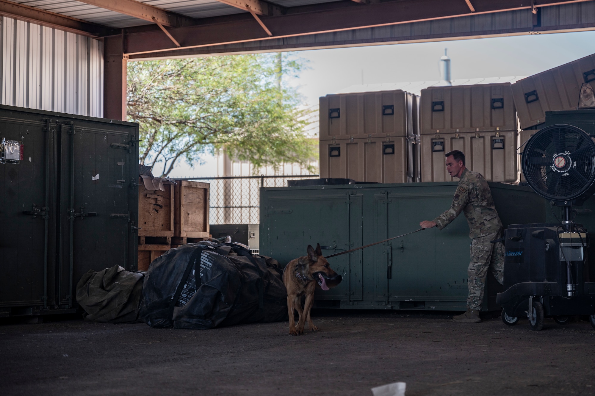 A photo of a MWD searching a building