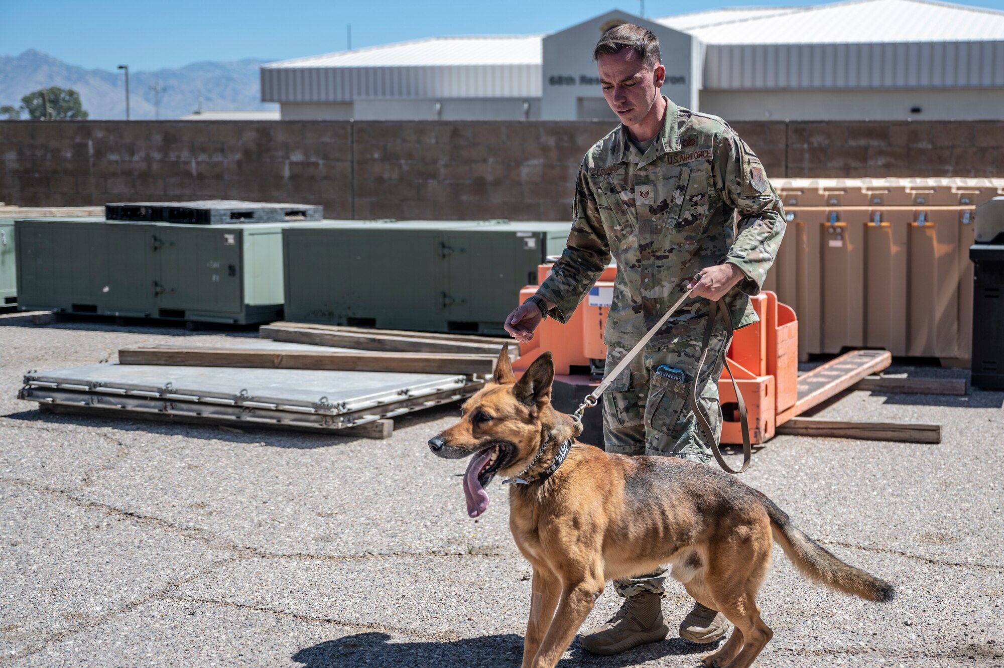 a photo of a defender and a dog