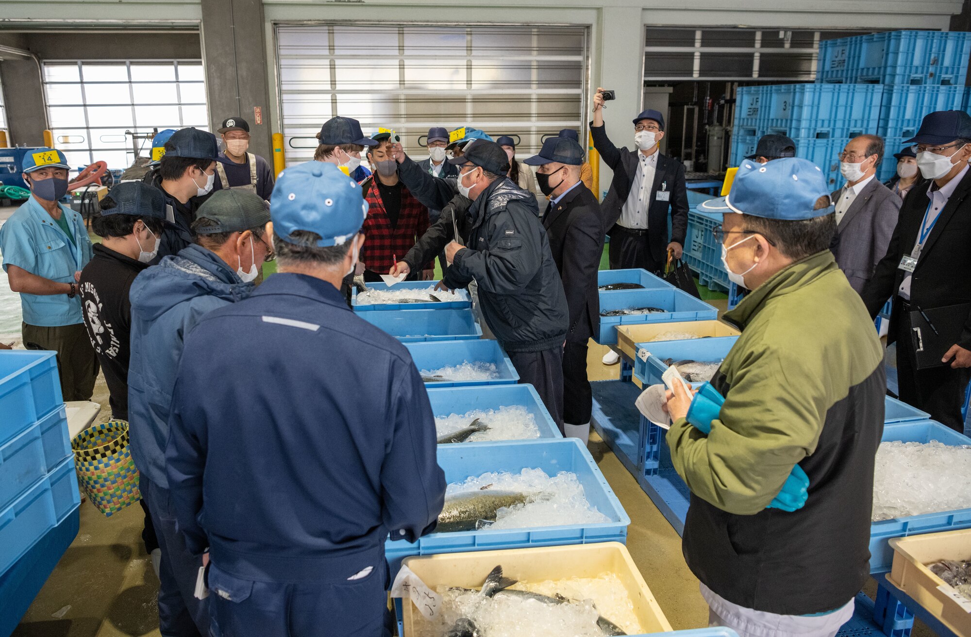 A group of men are in a room filled with fish in ice boxes