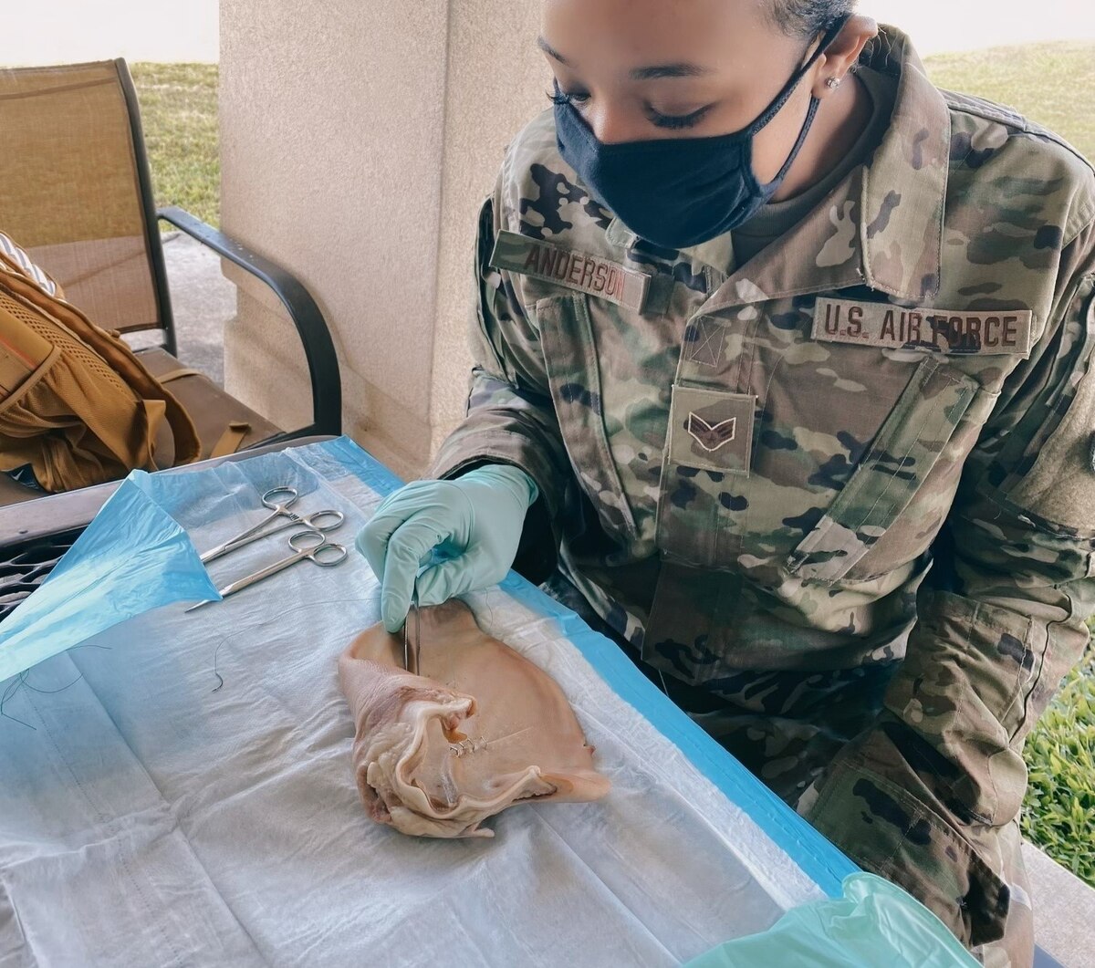 Senior Airman Anderson examines a pig ear as part of her Air Force training.