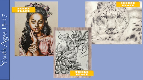 The Air Force Services Center recently announced the winners of this year’s Air Force Art Contest. More than 2,240 pieces of art submitted from over 1,600 participants of all ages who used a variety of media.