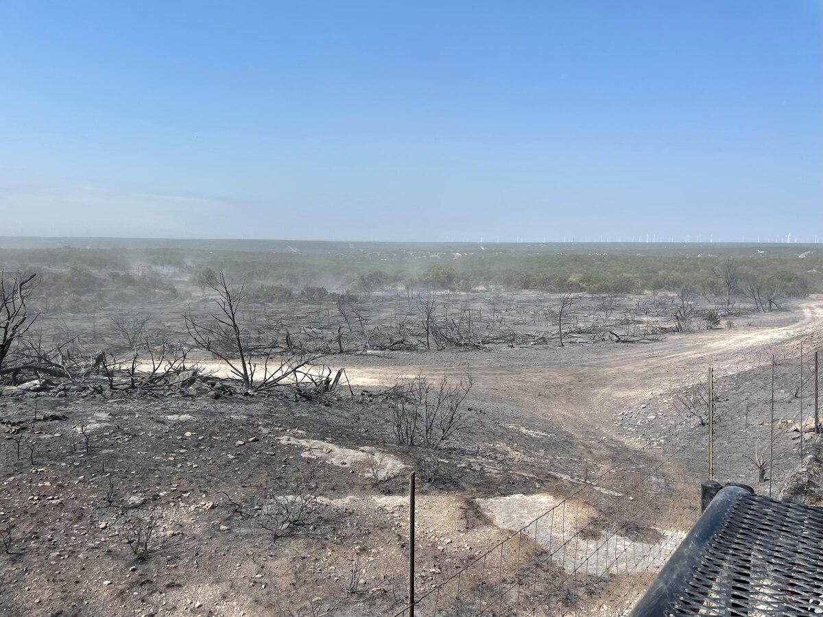 Smoke rising from charred and burnt earth and brush with green vegetation in the background.
