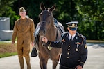 Army Veterinary Corps celebrates 106th anniversary