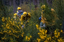 Guardsmen wearing protective gear use hand tools in a field during training.