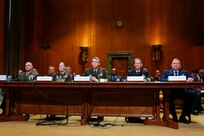 Senate Appropriations Committee testimony