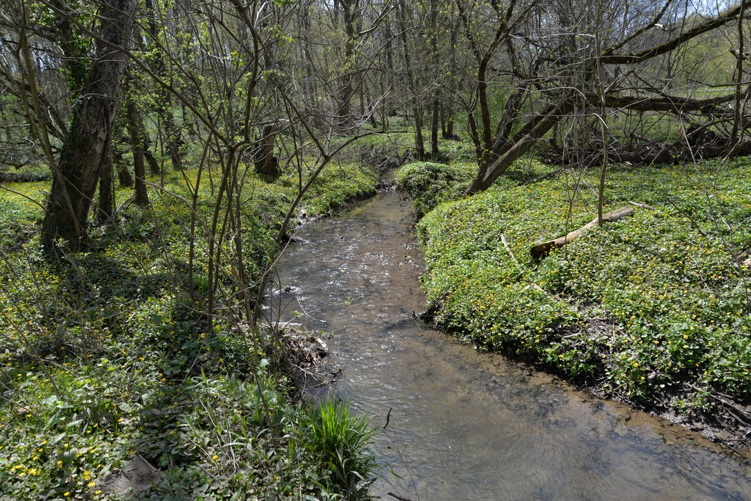 Beargrass Creek at Cherokee park

Beargrass Creek News Release: https://go.usa.gov/xJaCj 

Video: https://youtu.be/4NbUjtOCyIk