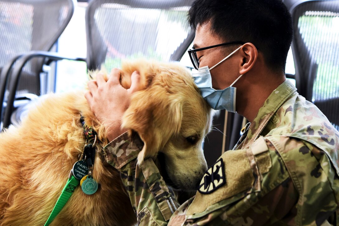 A soldier hugs a dog.