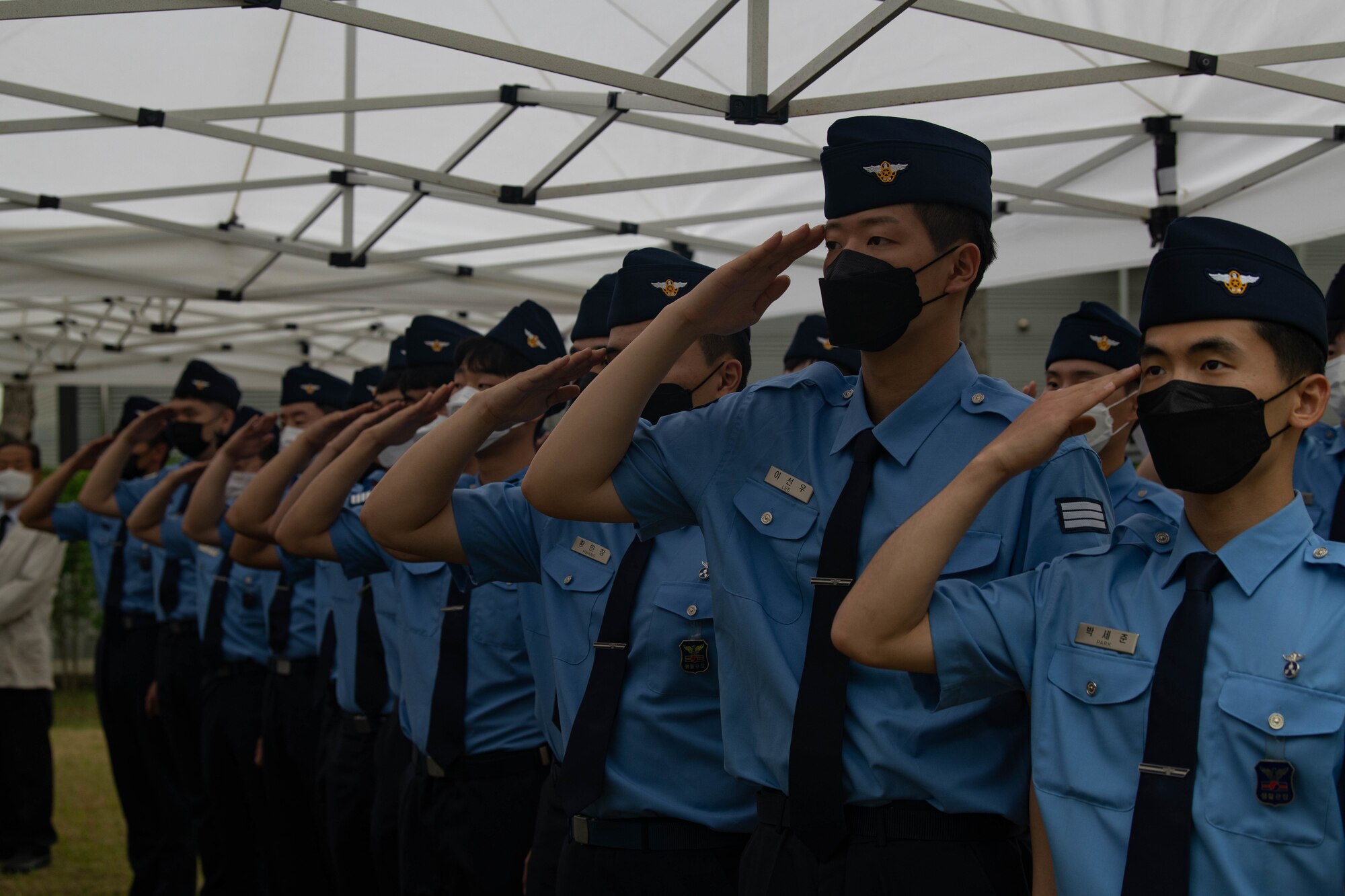 A row of military members saluting.