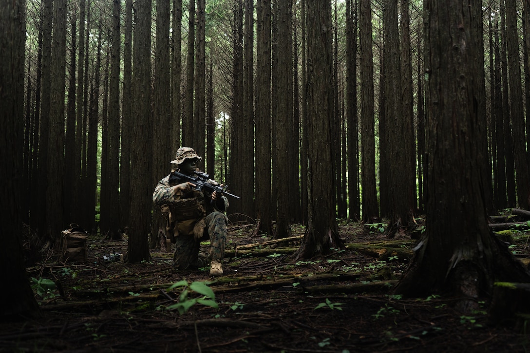 U.S. Marine Corps Lance Cpl. Jacob Carralez, a rifleman with 3rd Battalion, 2nd Marines, conducts a patrol during Exercise Shinka 22.1at Combined Arms Training Center, Camp Fuji, Japan, June 9, 2022. Shinka exemplifies a shared commitment to realistic training that produces lethal, ready, and adaptable forces capable of decentralized operations across a wide range of missions. 3/2 is forward deployed in the Indo-Pacific under 4th Marines, 3d Marine Division as part of the Unit Deployment Program. Carralez is a native of Hayward, California.