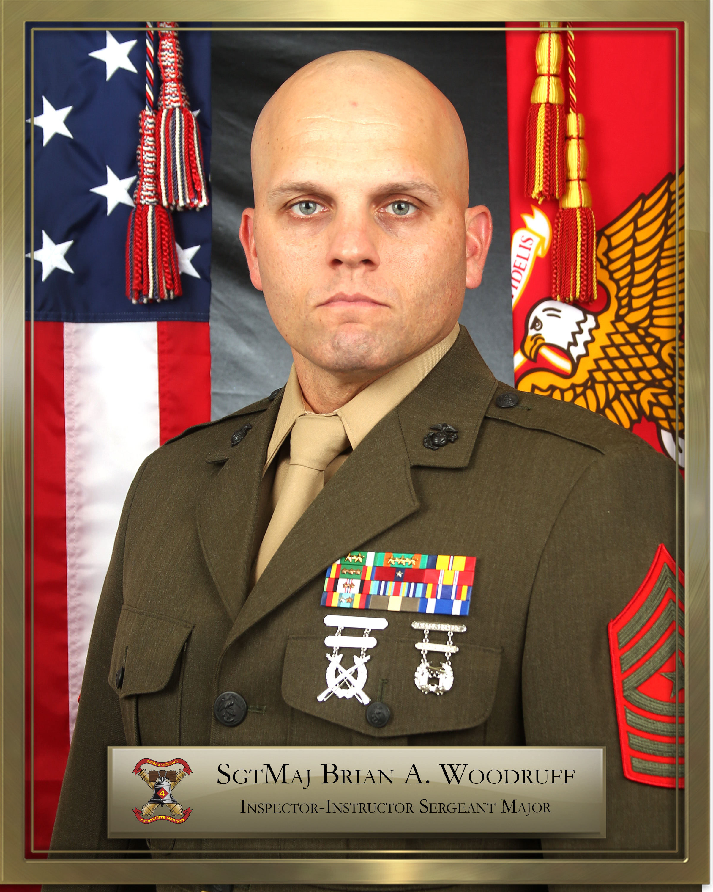 Inspector Instructor Sergeant Major Marine Corps Forces Reserve Biography