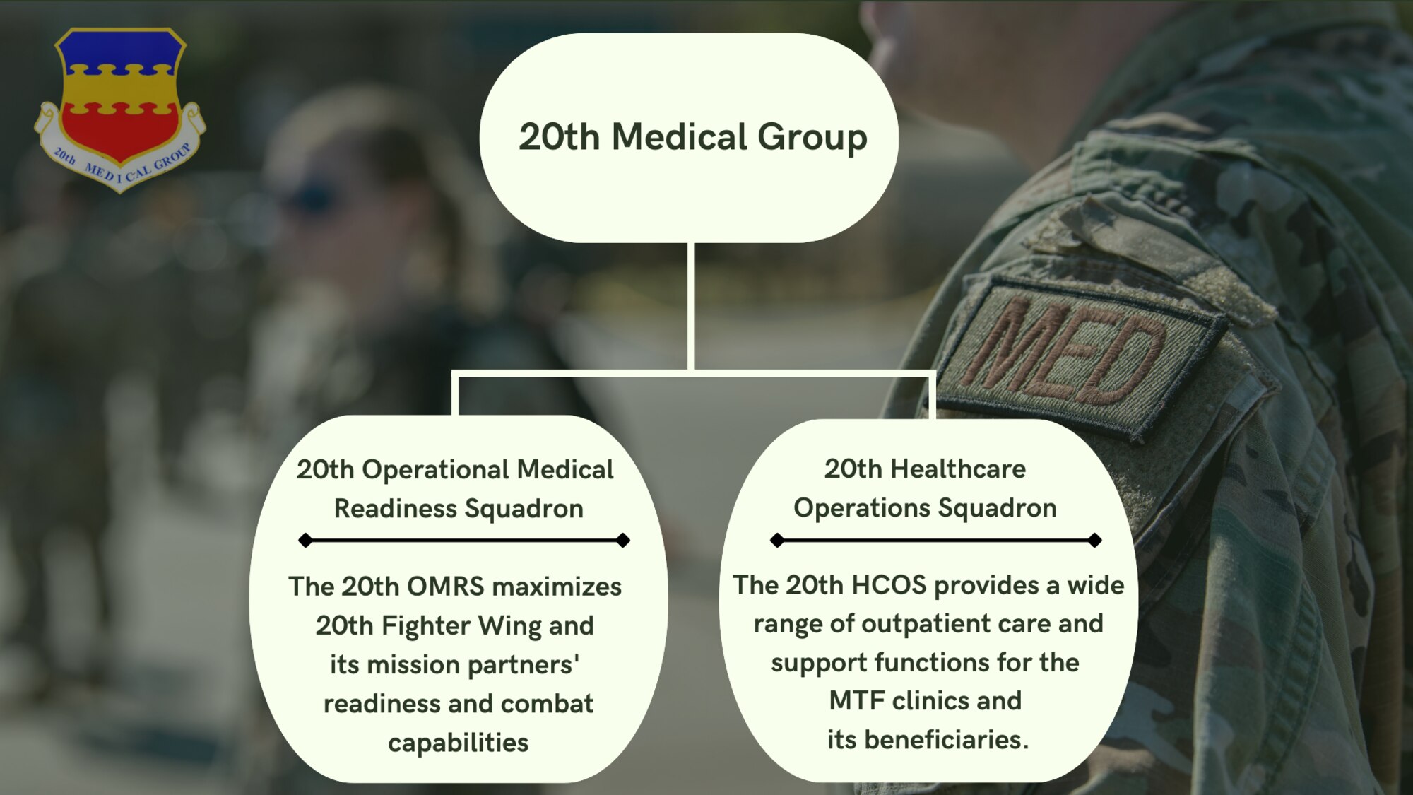 A graphic of the medical group structure.