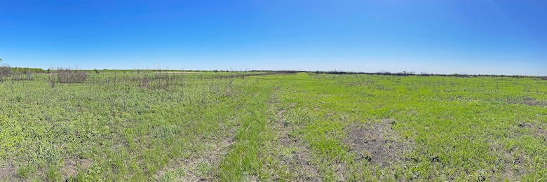 Lewisville Prescribed Burn