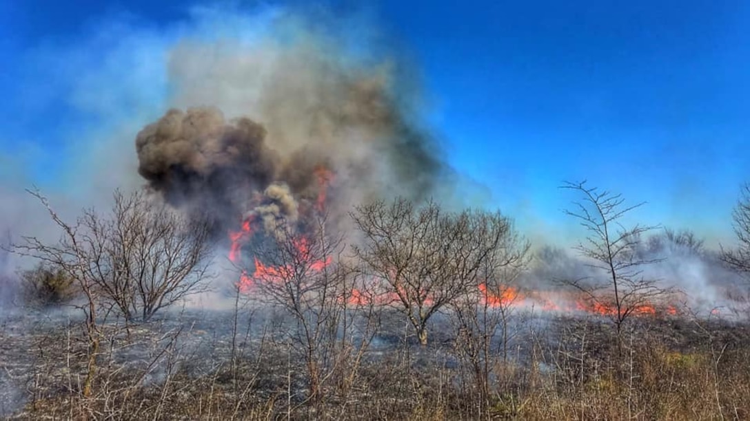 Culp Branch Prairie Management Unit Prescribed Burn