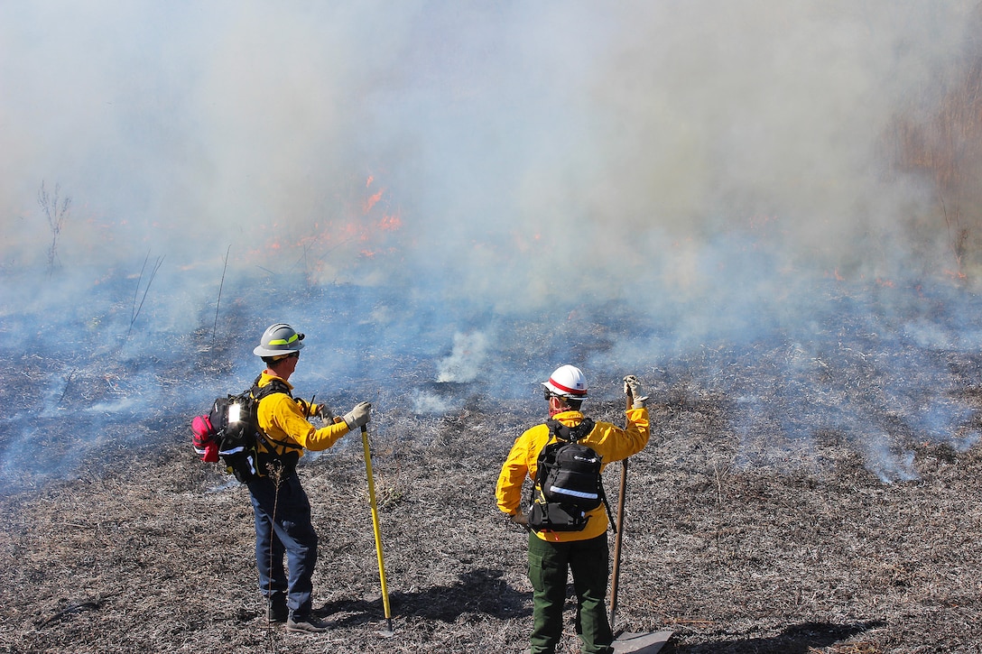 Wildland Firefighting Training at Lavon Lake