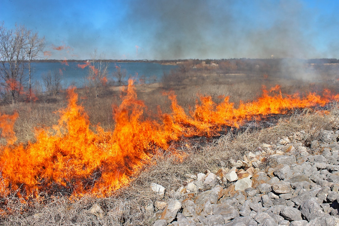 Wildland Firefighting Training at Lavon Lake