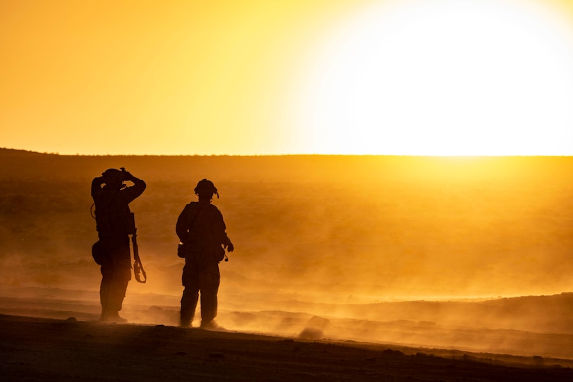 Two soldiers stand in a desert environment, silhouetted by the sun.