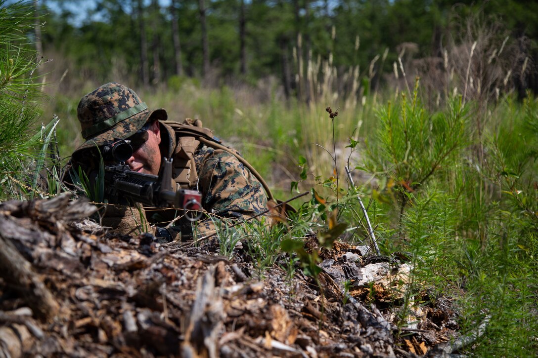 U.S. Marine Corps Lance Cpl. Justin spates, Combat Skills Program participant (CSP), sights into his M-16 A4 service rifle while setting security on Camp Devil Dog in Jacksonville, North Carolina, June 8, 2022.