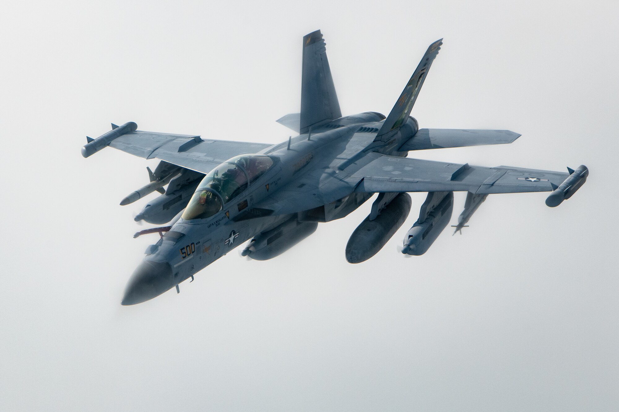 A Navy EA-18G flies against a foggy sky.