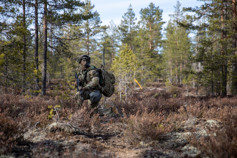 A solider takes a knee to survey surroundings in the woods.
