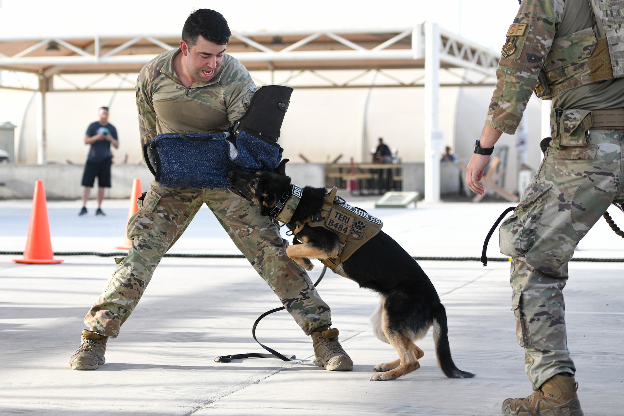 Teri, a military working dog with the 380th Expeditionary Security Forces Squadron, attacks Staff Sgt. Sean Tucker, a 380th ESFS military working dog handler, during a MWD demonstration, May 20, 2022 at Al Dhafra Air Base, United Arab Emirates. The U.S. military uses MWDs in all branches of service and they are trained for specific jobs, including tracking, explosive detection, patrol, search and rescue, and attack.