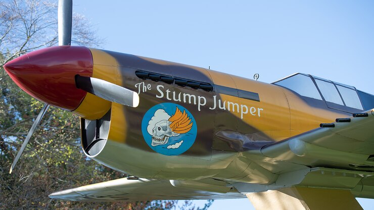 Image of P-40 static display