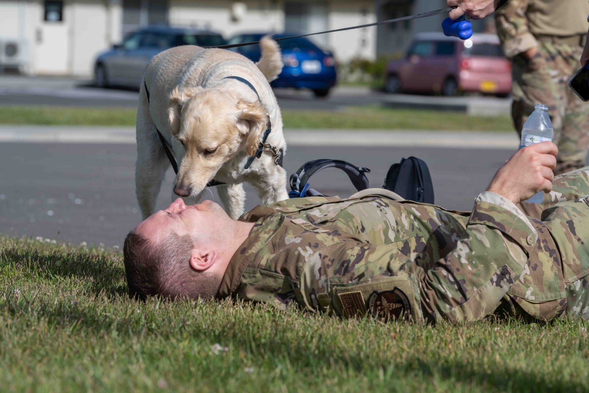 A participant lies down while his dog checks on him after completing a Norwegian Foot March at Misawa Air Base, Japan, June 25, 2022.