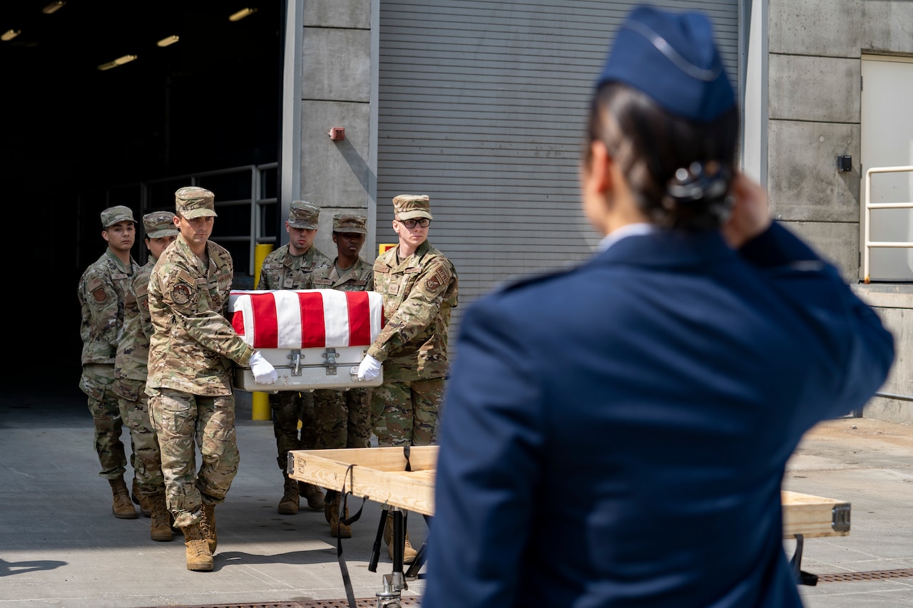 An airman shown from behind salutes service members carrying a U.S. flag-draped transfer case.