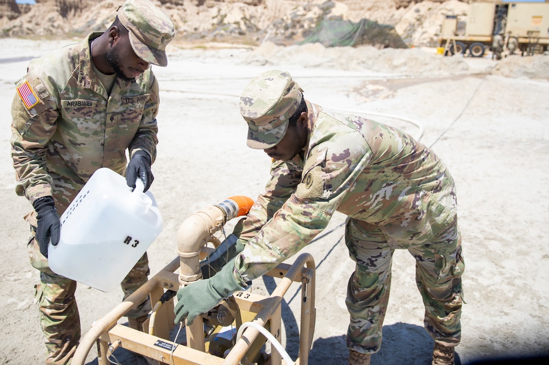 'Twins' from Nigeria bring community and spirit to Army Reserve