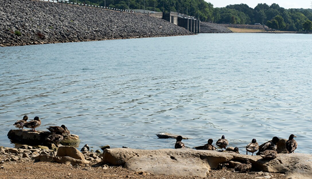 Storage reservoirs in the Cumberland River Basin like J. Percy Priest in Nashville, Tennessee, provide a reliable source of water supply source for municipal and industrial users, as well as hundreds of private users. The U.S. Army Corps of Engineers Nashville District balances demands for water with the authorized purposes of the reservoirs when determining allocations for water storage. This is J. Percy Priest Dam June 30, 2022. (USACE Photo by Lee Roberts)