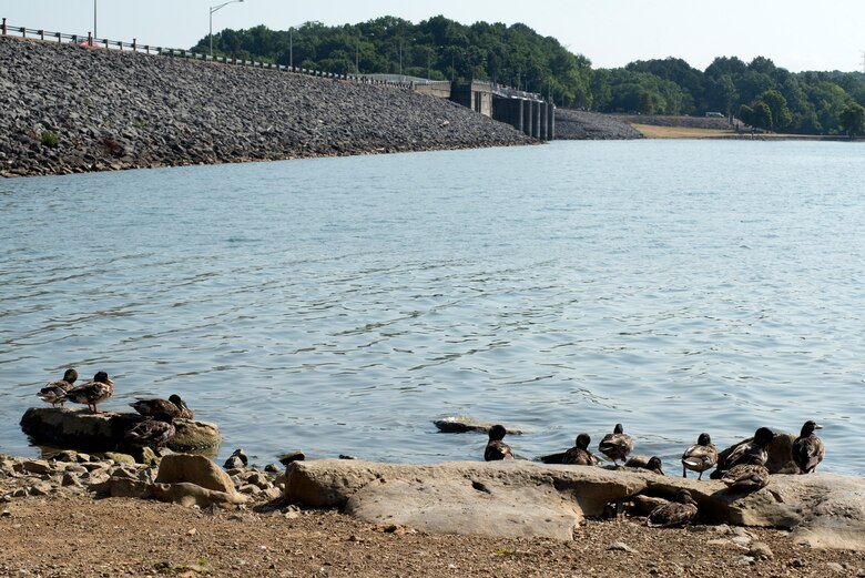 Storage reservoirs in the Cumberland River Basin like J. Percy Priest in Nashville, Tennessee, provide a reliable source of water supply source for municipal and industrial users, as well as hundreds of private users. The U.S. Army Corps of Engineers Nashville District balances demands for water with the authorized purposes of the reservoirs when determining allocations for water storage. This is J. Percy Priest Dam June 30, 2022. (USACE Photo by Lee Roberts)