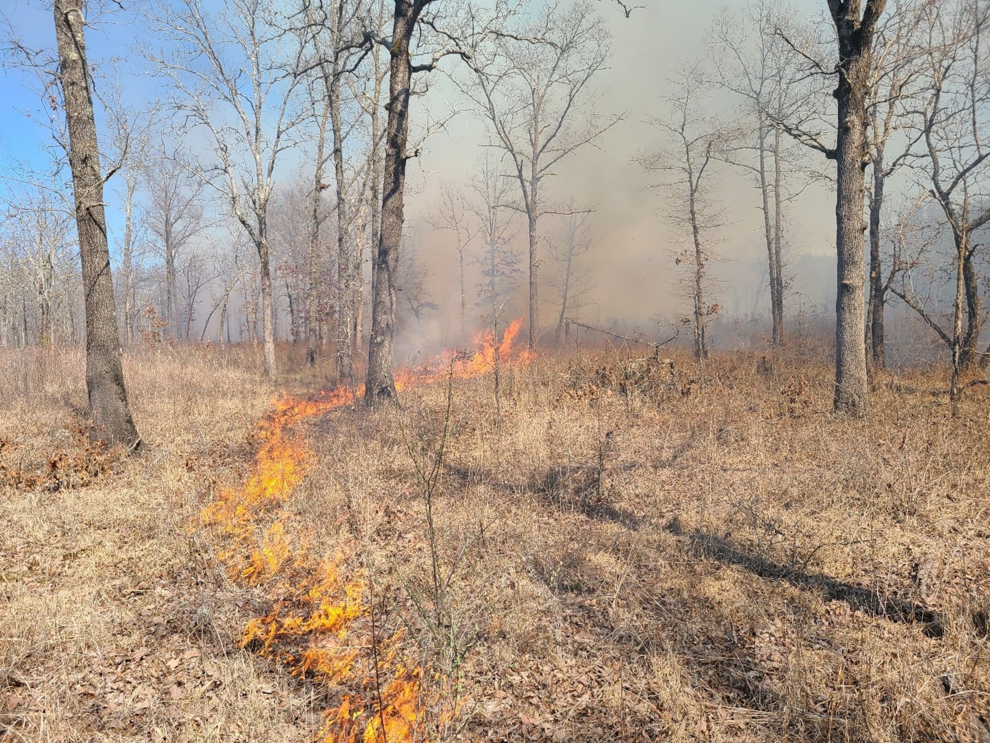 Pictured is a prescribed fire, or controlled burn, at Arnold Air Force Base.