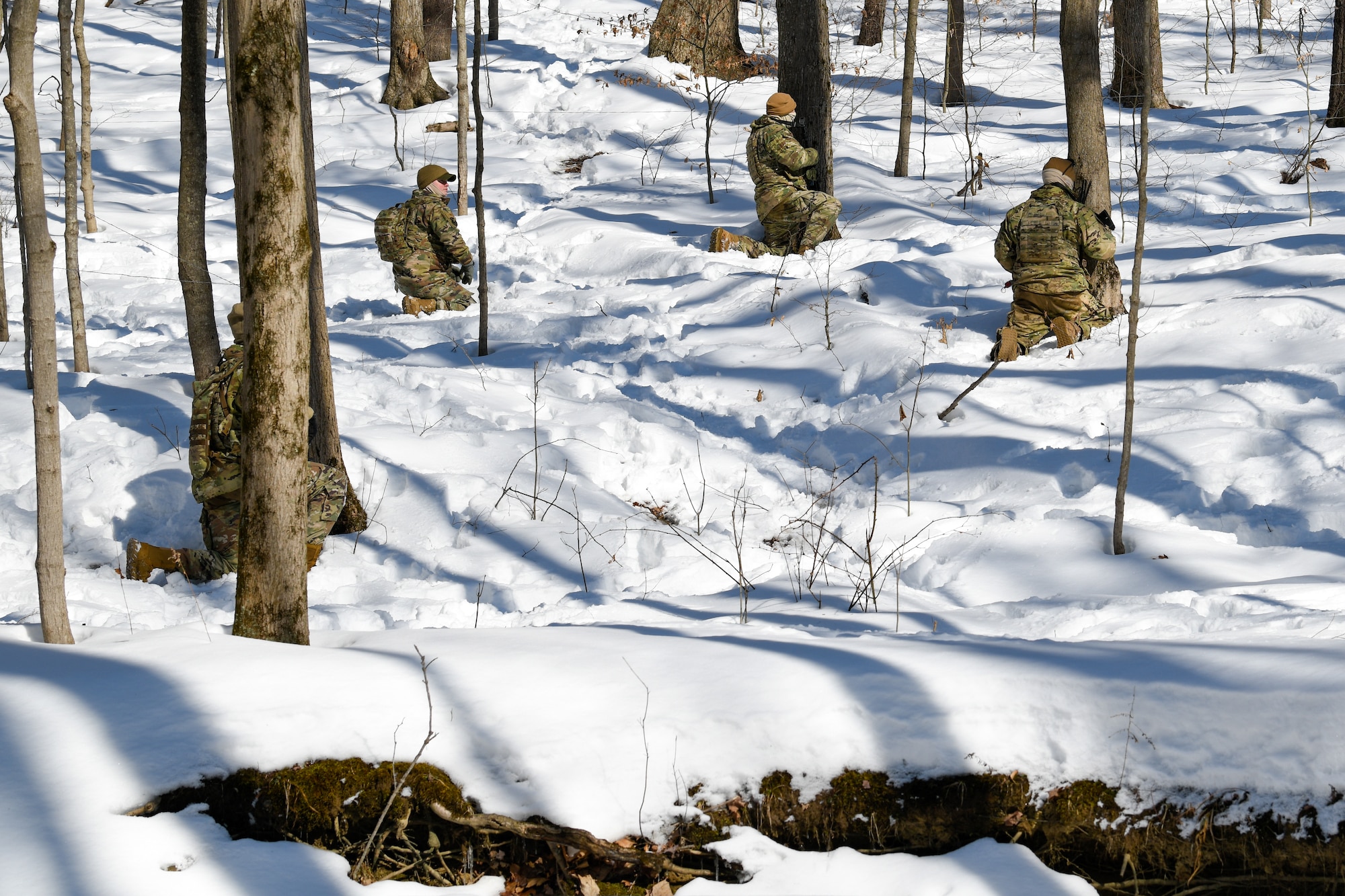 Members of the 926th Security Forces Squadron, based at Nellis Air Force Base, Nevada, completed the Integrated Defense Leadership Course, based at Youngstown Air Reserve Station, Ohio, in February, 2022.