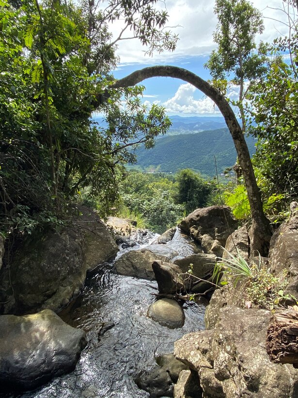 Nature imagery in Puerto Rico