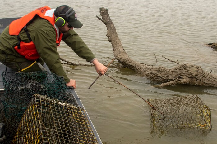 WALLISVILLE, Texas -- USACE Galveston District Natural Resource Specialist Brandon Moehrle picks up an abandoned crab trap at the Wallisville Lake Project.

Moerhle and two other Galveston Park Rangers collected more than a dozen abandoned crab traps, which can entrap and kill aquatic and terrestrial wildlife. The traps also pose a threat to recreational boaters on the lake by damaging their outboard motors.

The crab trap round-up is just one of the many ways USACE promotes environmental stewardship, regulates waterways, and manages natural resources.