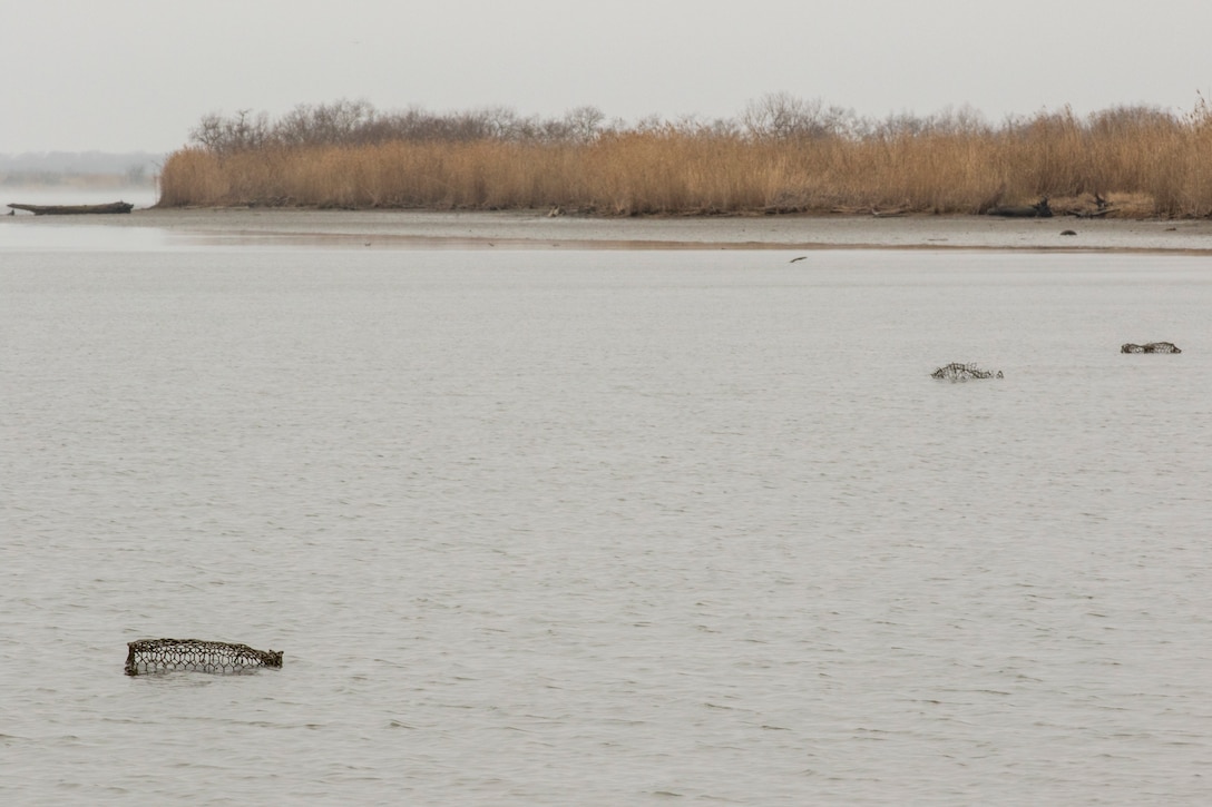 WALLISVILLE, Texas -- Several abandoned crab traps line the muddy waters of the Wallisville Lake Project.

Abandoned crab traps can entrap and kill aquatic and terrestrial wildlife and also pose a threat to recreational boaters on the lake by damaging their outboard motors.