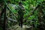 A U.S. Marine with 3d Marine Division assaults an objective during the squad attack phase of the 3d Marine Division Squad Competition at the Jungle Warfare Training Center on Camp Gonsalves, Okinawa, Japan, Jan. 6, 2022. The week-long competition tests jungle survival skills, basic infantry tactics, and excellence in weapons handling. The competition participants are forward-deployed in the Indo-Pacific under 4th Marines, 3d Marine Division, as a part of the Unit Deployment Program. (U.S. Marine Corps photo illustration by Lance Cpl. Jonathan Willcox)