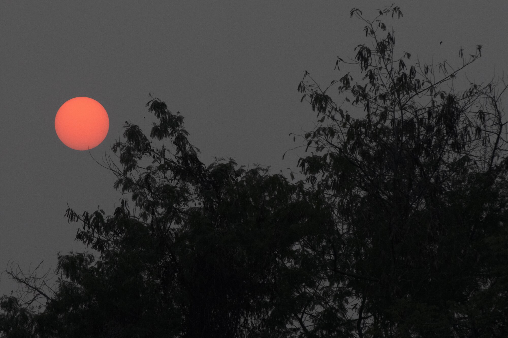 The sun sets as members of U.S. and Bangladesh air forces prepare for a night sortie during Exercise Cope South 2022, at Bangladesh Air Force (BAF) Base Bangabandhu, Bangladesh. U.S. Air Force and BAF pilots exchanged techniques for flying in low light conditions as part of the exercise. Exercise Cope South is a bi-annual Pacific Air Forces-sponsored bilateral tactical airlift exercise, intended to enhance U.S. and Bangladesh forces’ ability to operate together.
