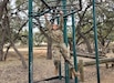 Army Reserve Soldier trumpets benefits of Best Warrior Competition