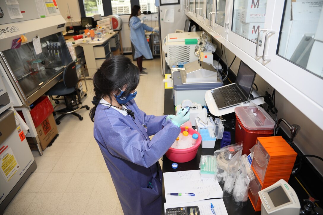 Ursula Tran a research assistant with The Emerging Infectious Disease Branch (EIDB), at the Walter Reed Army Institute of Research (WRAIR), studies Coronavirus protein samples, June 1, 2020.