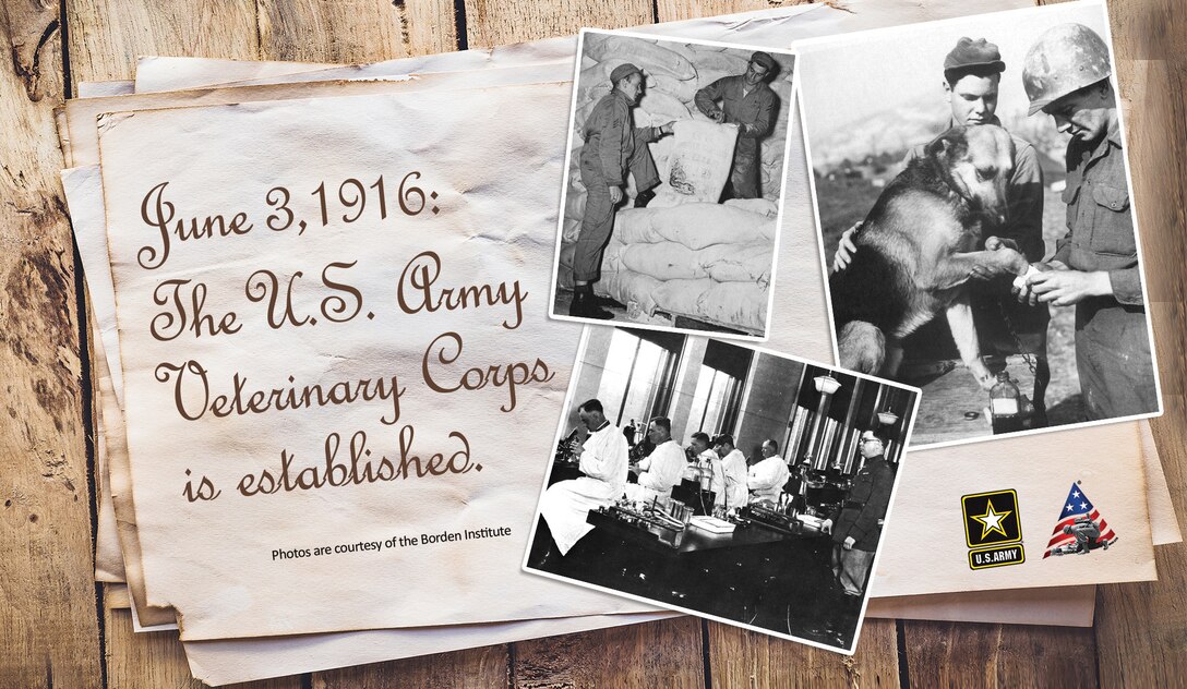Happy 105th anniversary to the U.S. Army Veterinary Corps!