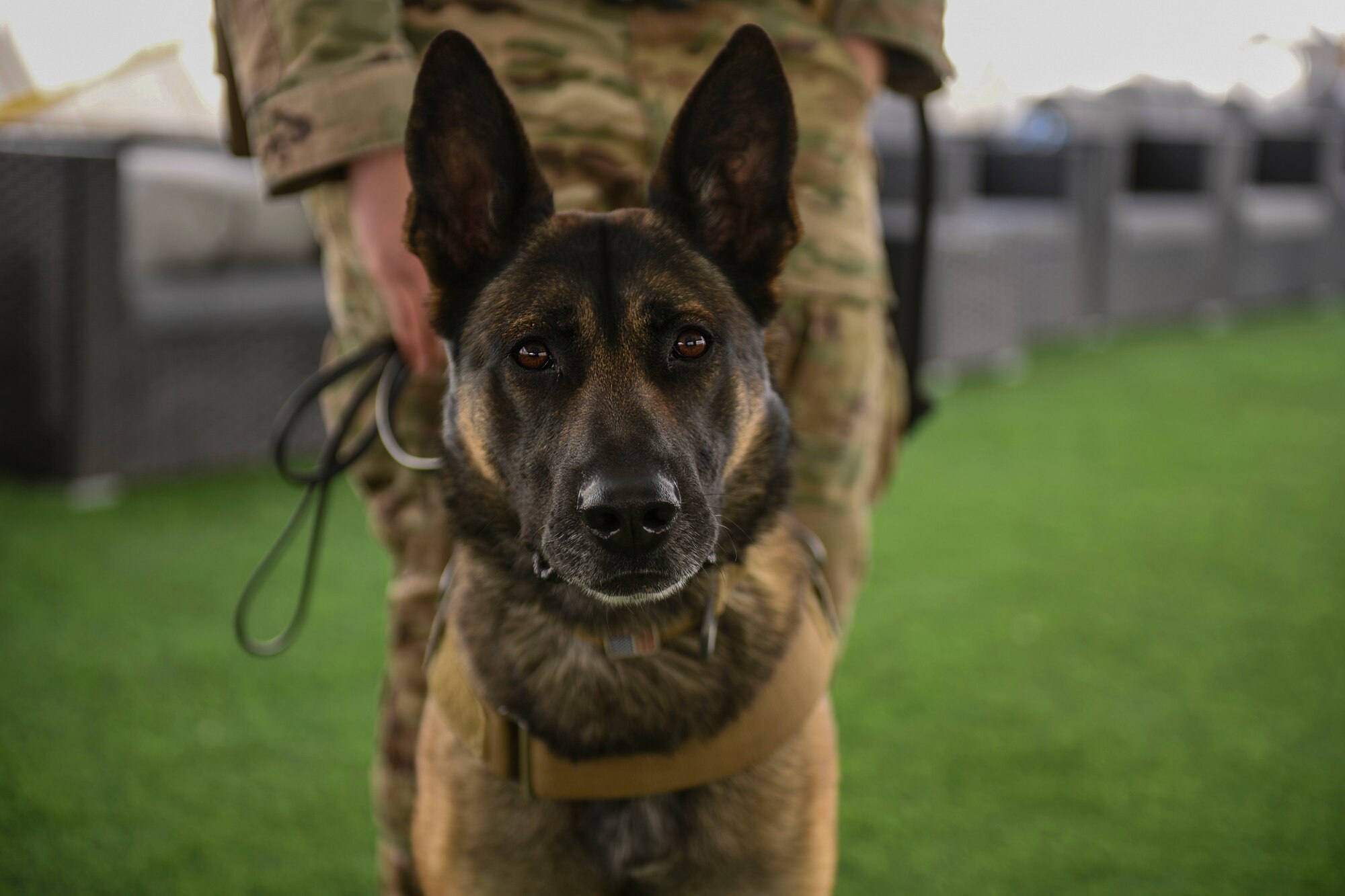 MWD demonstrates readiness