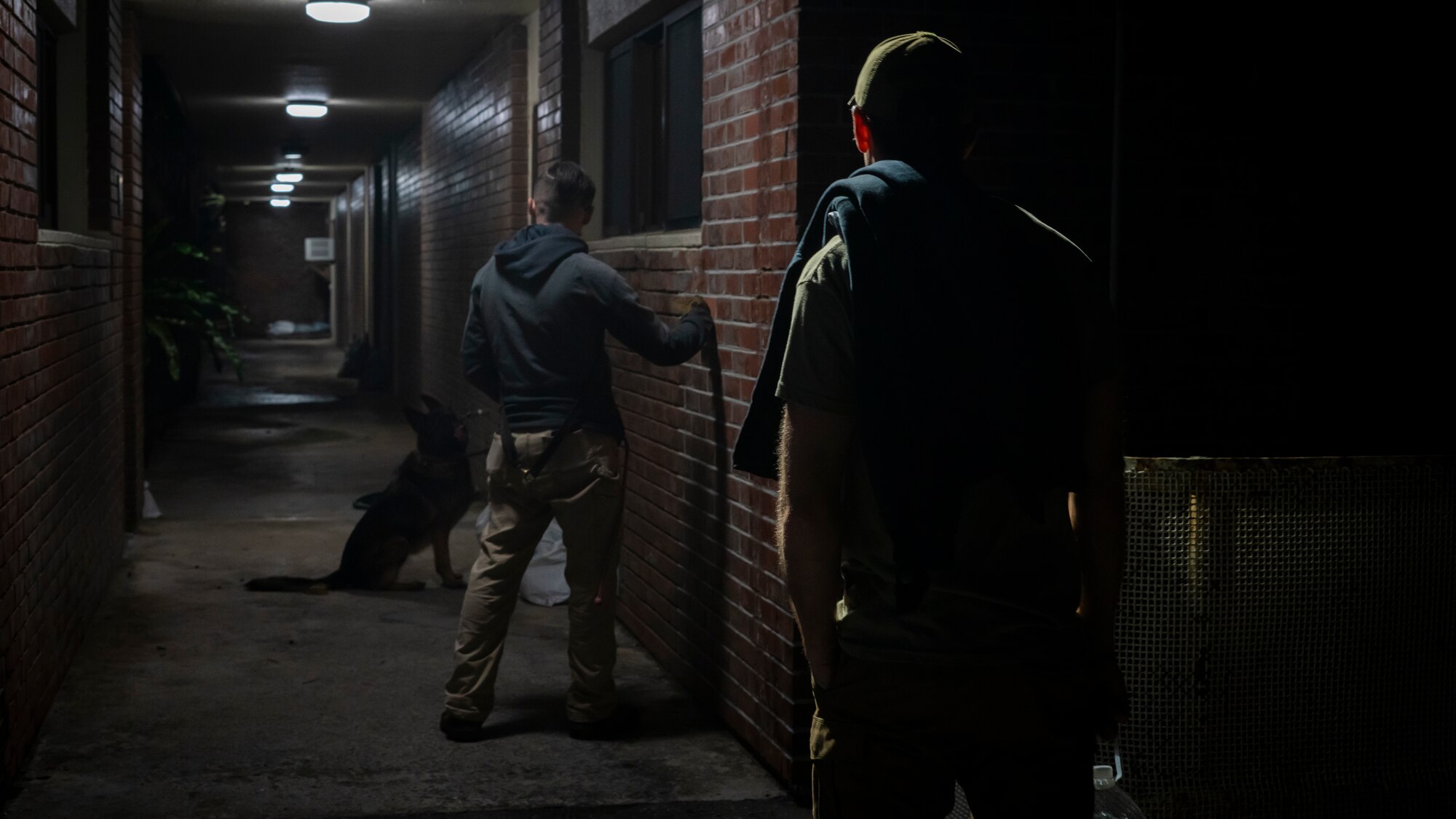 Military working dog and his trainer search for simulated explosives in a dark hallway as a MWD trainer watches.