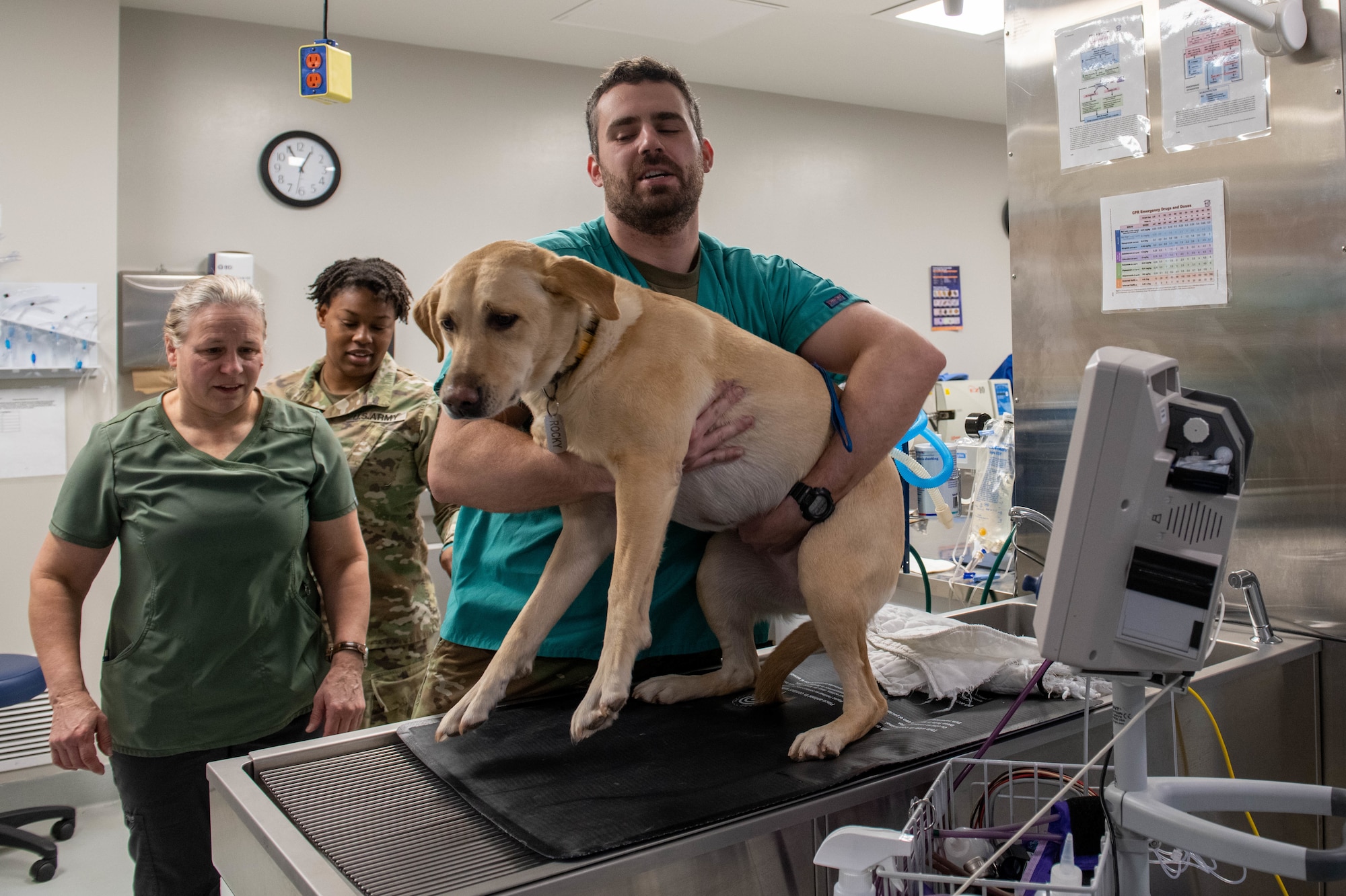 Capt. Alexander Glasgow, officer in charge of the Veterinary Clinic sets a dog onto an operation table at Ellsworth Air Force Base.