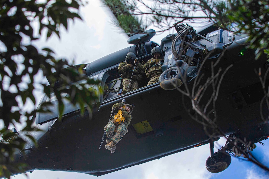 Two service members hoist another service member from an airborne helicopter.