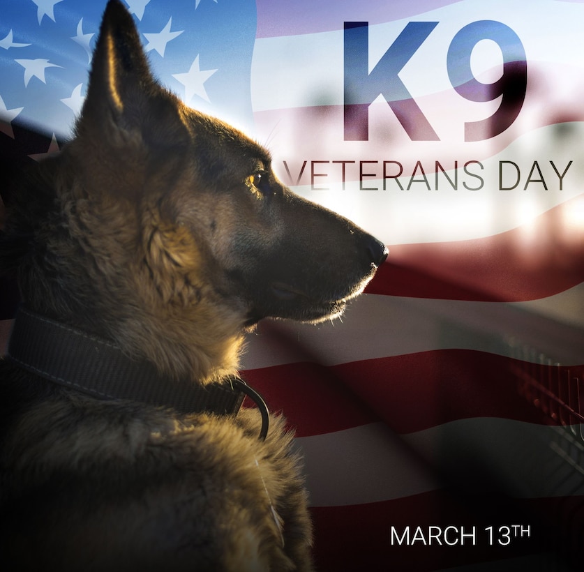 National K9 Veterans Day, observed annually on March 13, recognizes the service and sacrifice of American Military Working Dogs (MWD) throughout history. (Courtesy graphic)
